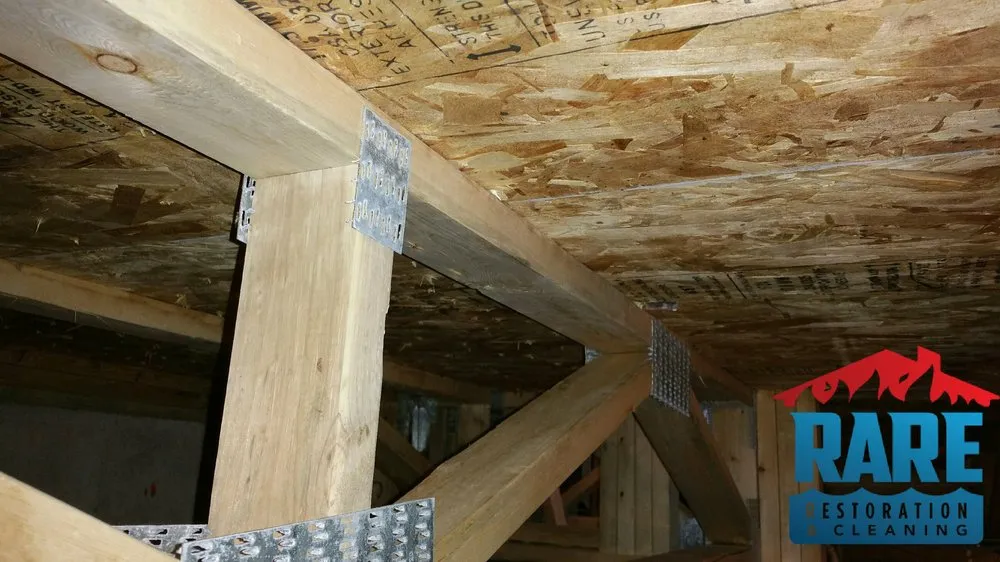 Slide of Rare Restoration