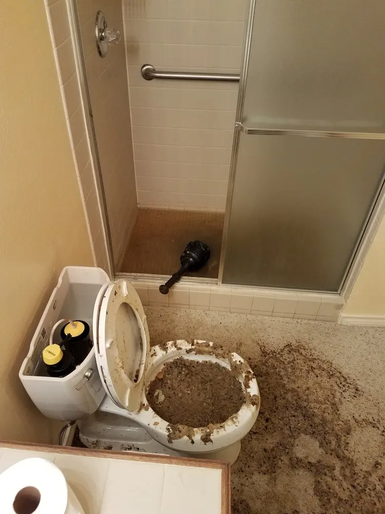 Slide of Rare Restoration