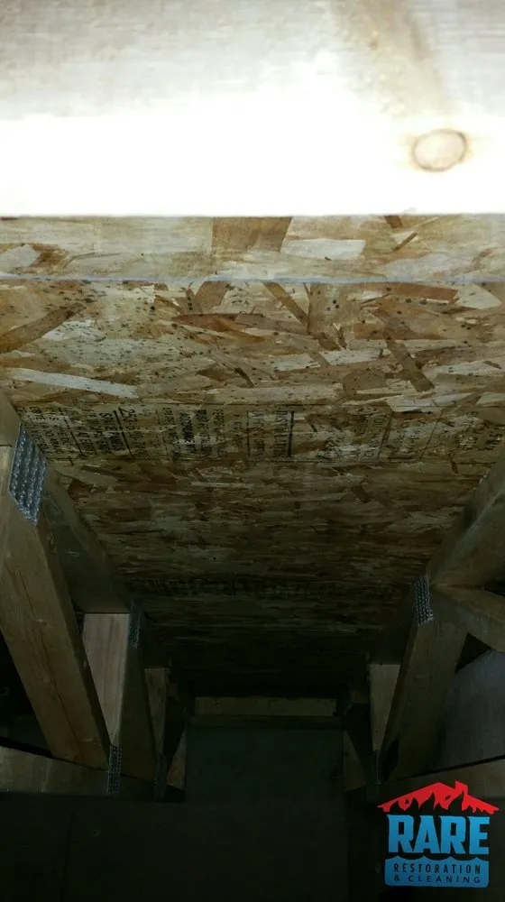 Slide of Rare Restoration