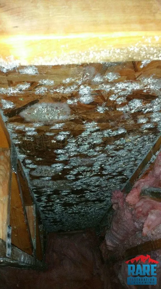 Slide of Rare Restoration