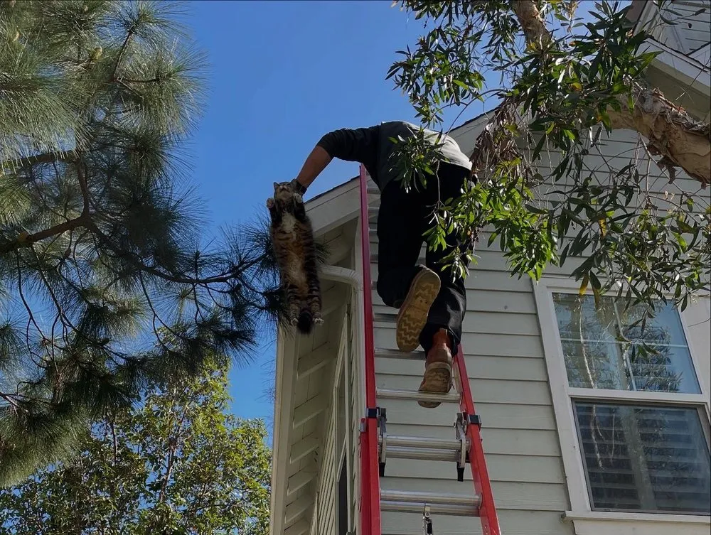 Slide of Rational Roofing Services