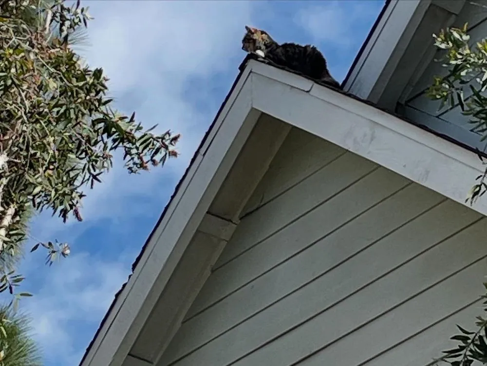 Slide of Rational Roofing Services