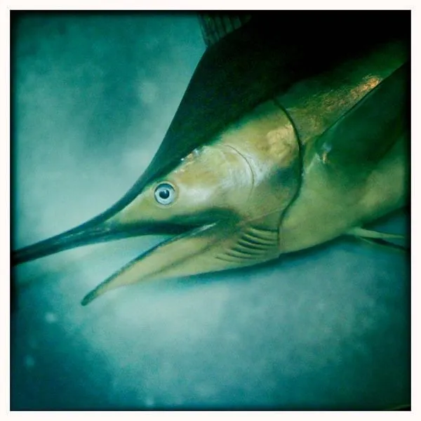 Slide of Ratliff Contracting