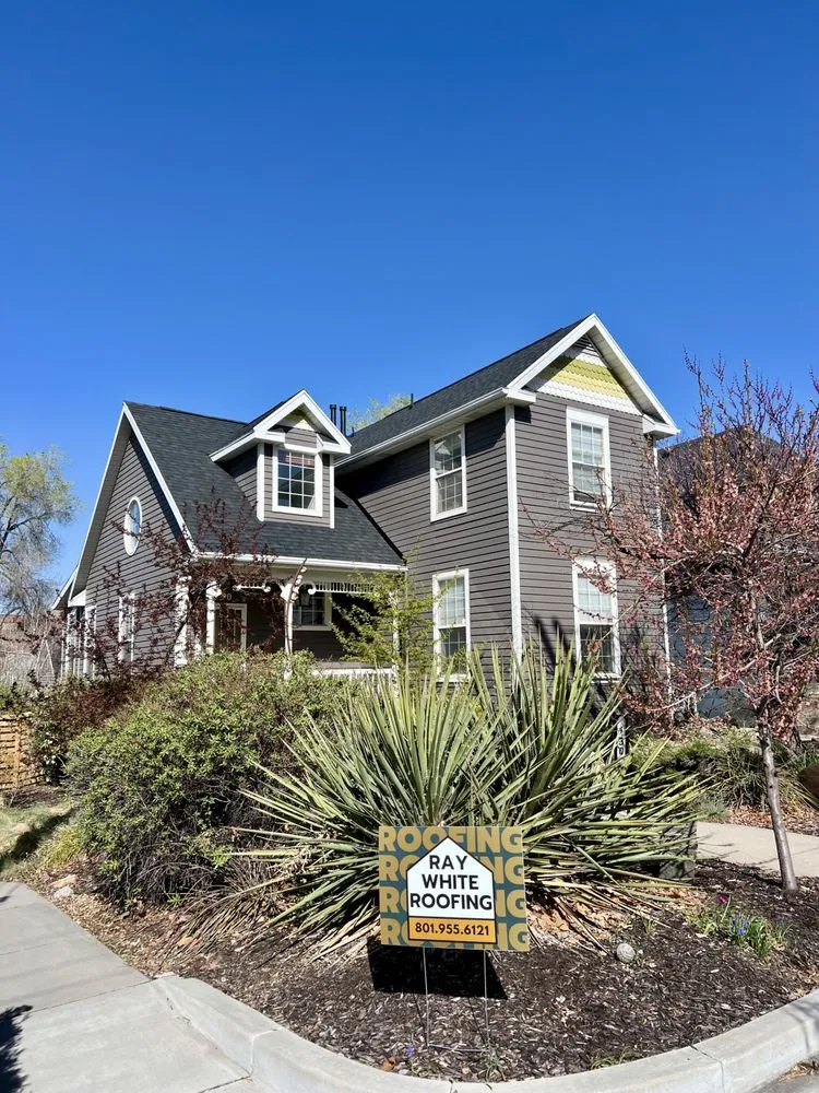 Slide of Ray White Roofing