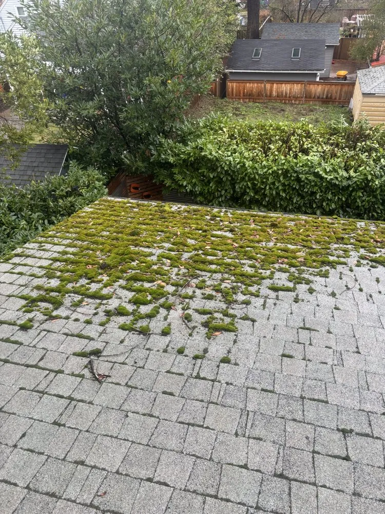 Slide of Rays Pressure Washing