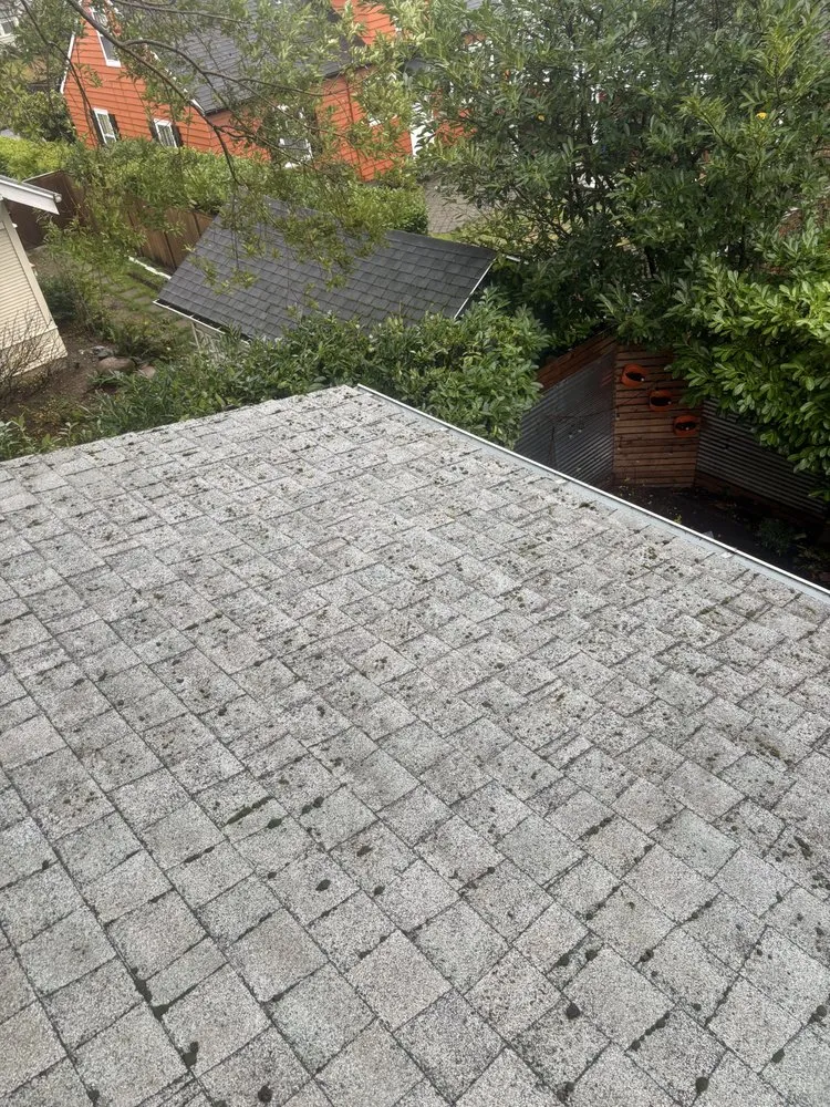 Slide of Rays Pressure Washing