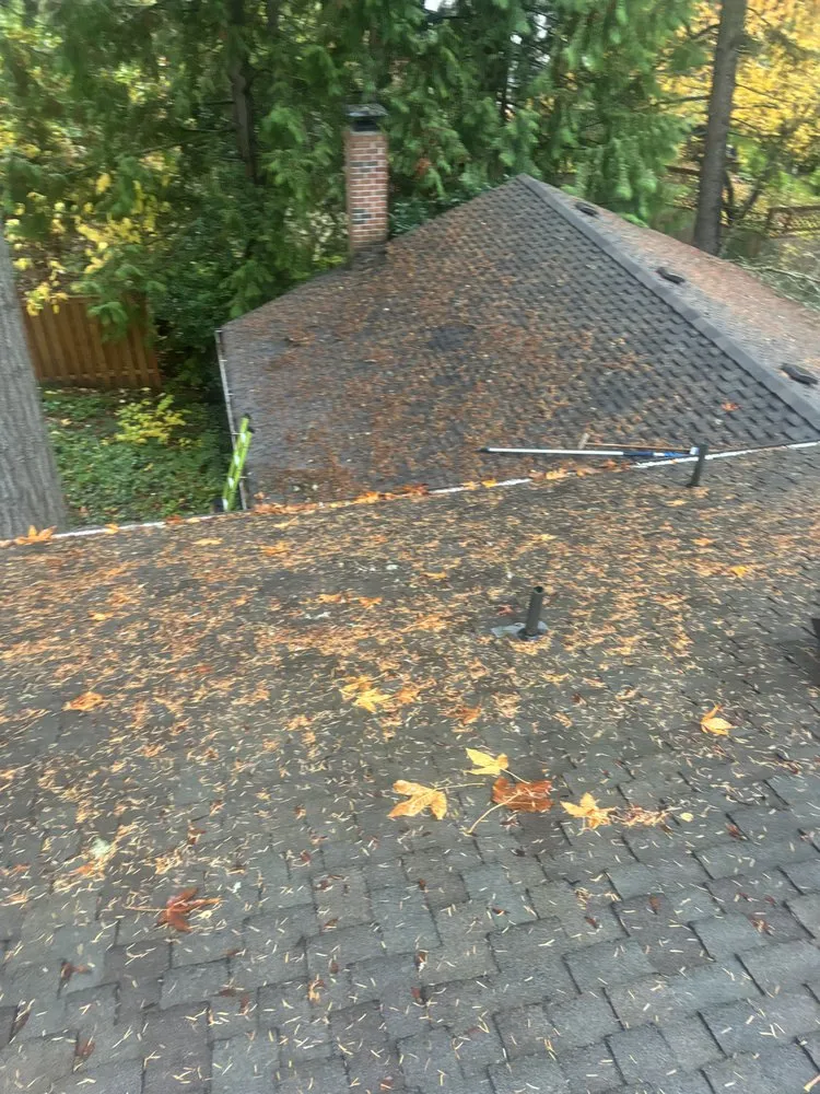 Slide of Rays Pressure Washing