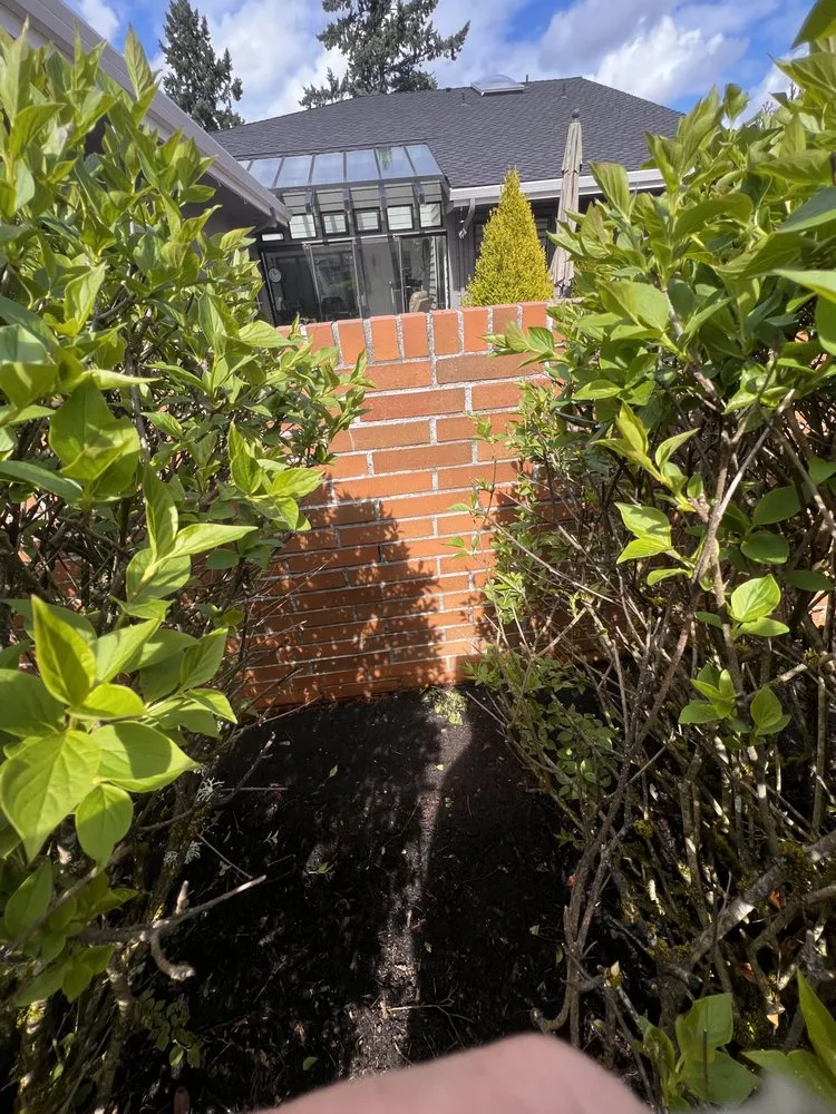 Slide of Rays Pressure Washing