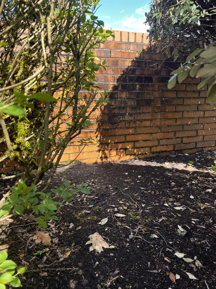 Slide of Rays Pressure Washing