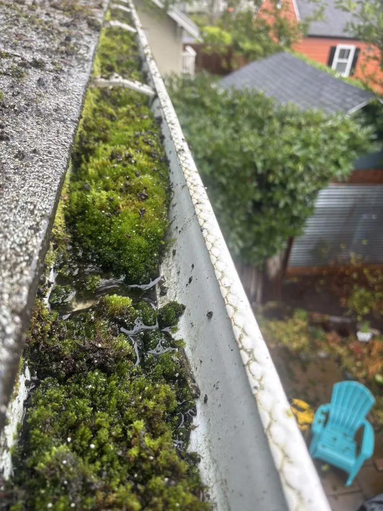 Slide of Rays Pressure Washing