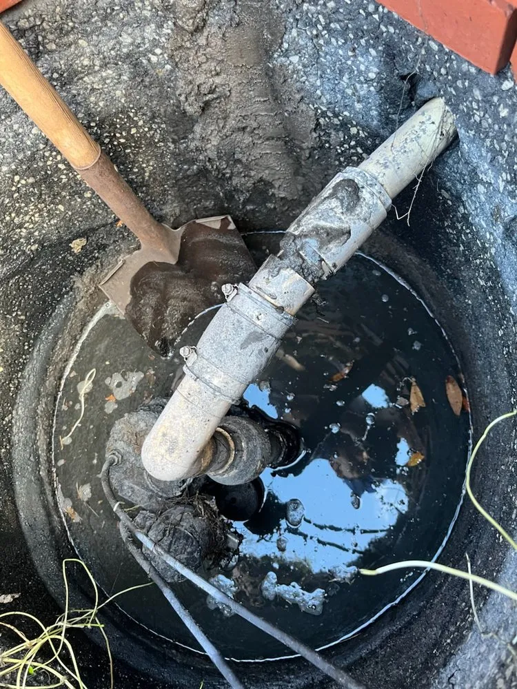 Slide of RB Pro Serv