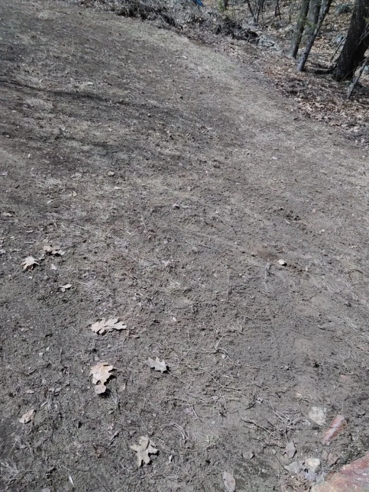 Slide of RC Landscaping & Services