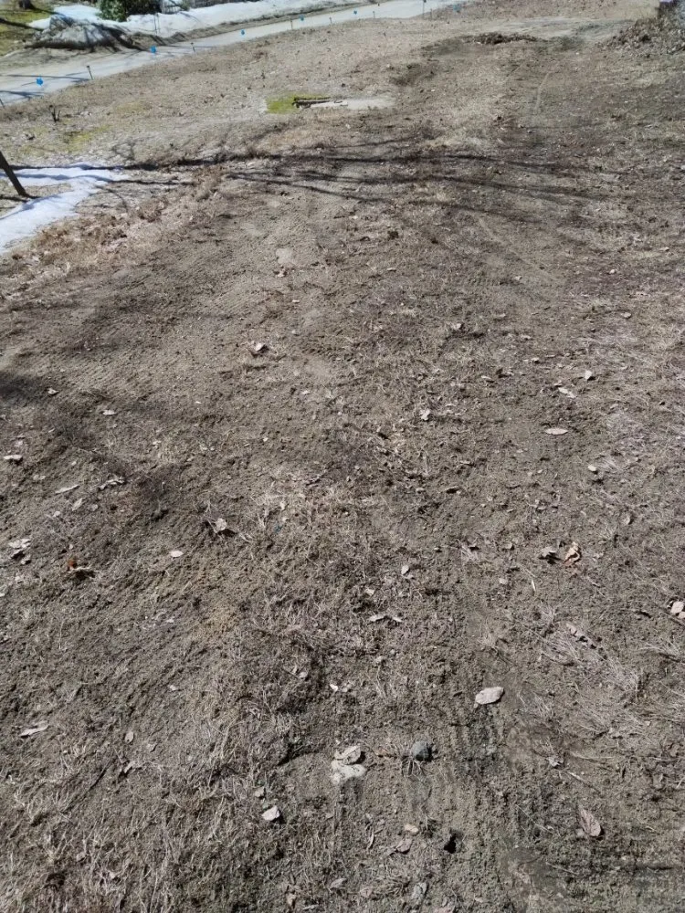 Slide of RC Landscaping & Services