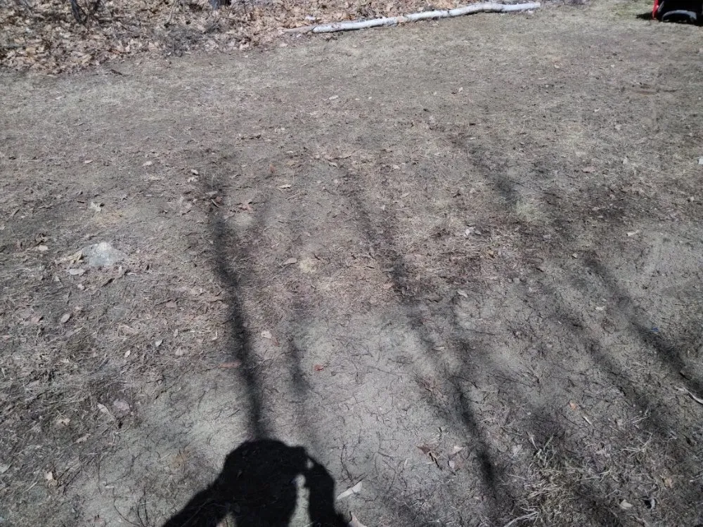 Slide of RC Landscaping & Services