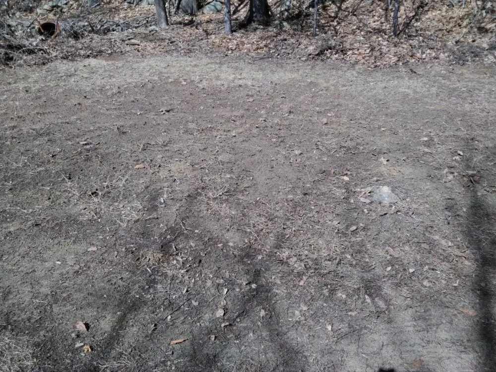 Slide of RC Landscaping & Services