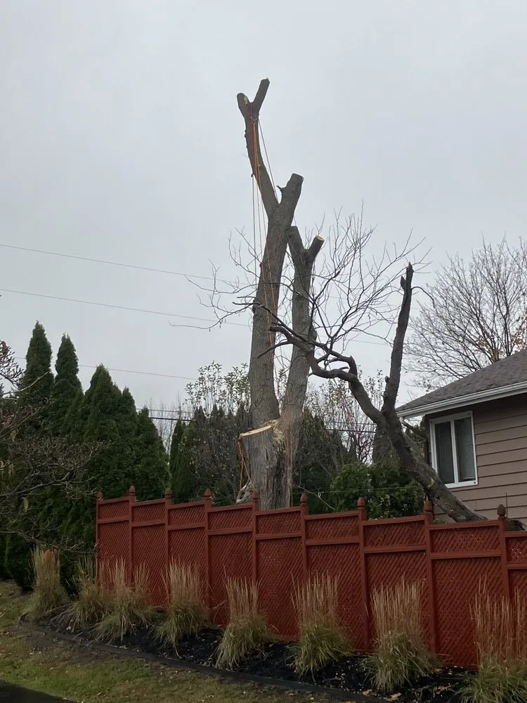 Slide of RCI General Contracting