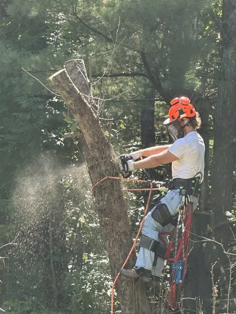 Slide of RCI General Contracting