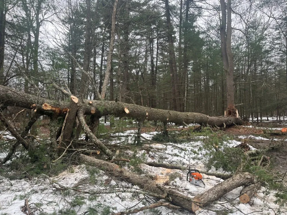 Slide of RCI General Contracting