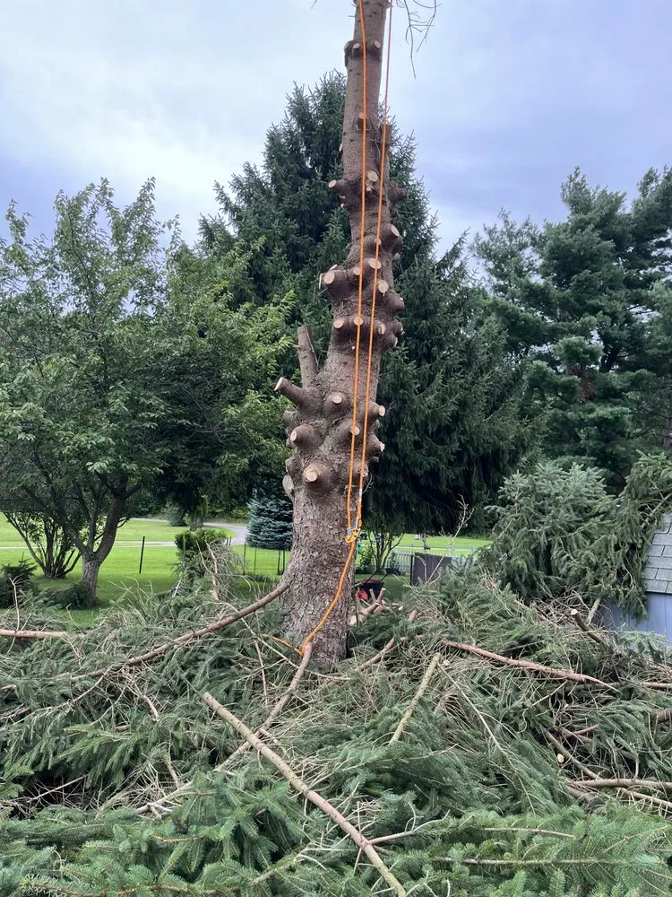 Slide of RCI General Contracting