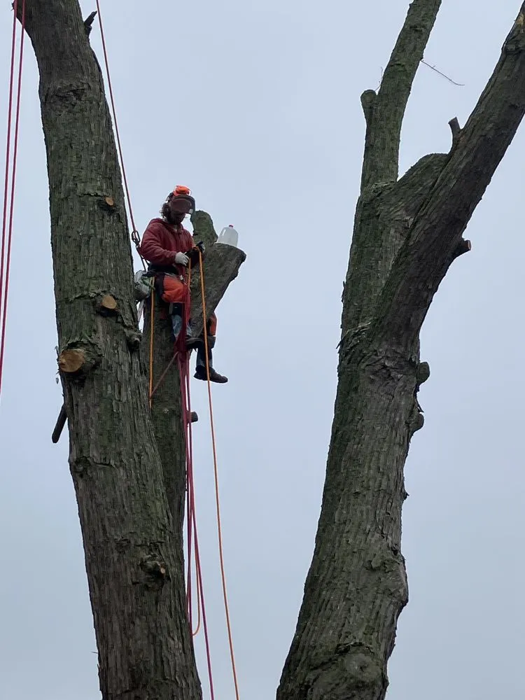 Slide of RCI General Contracting