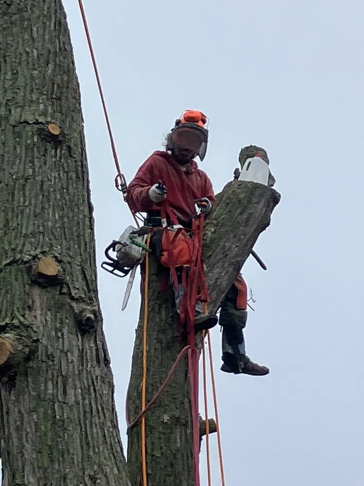 Slide of RCI General Contracting