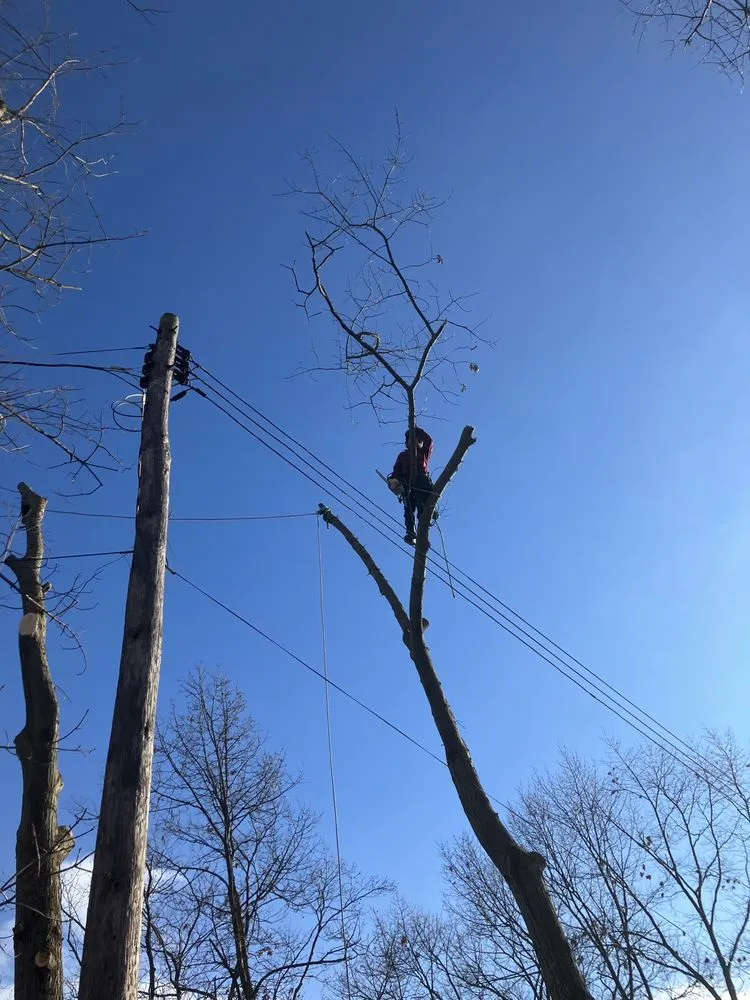 Slide of RCI General Contracting