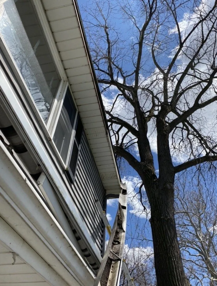 Slide of RD Kleinschmidt