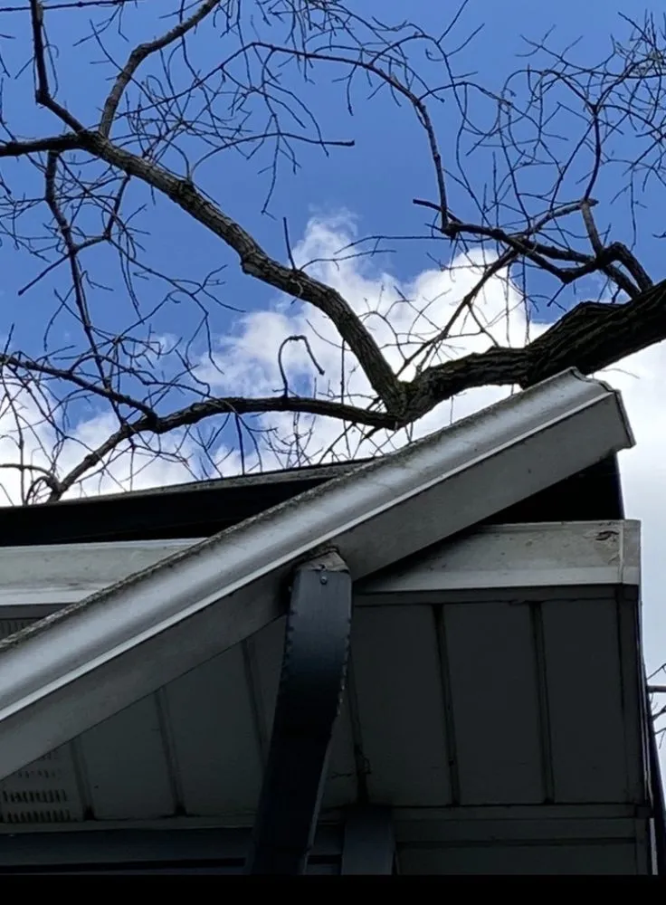 Slide of RD Kleinschmidt