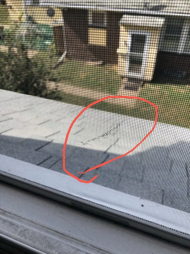 Slide of Reaction Exteriors