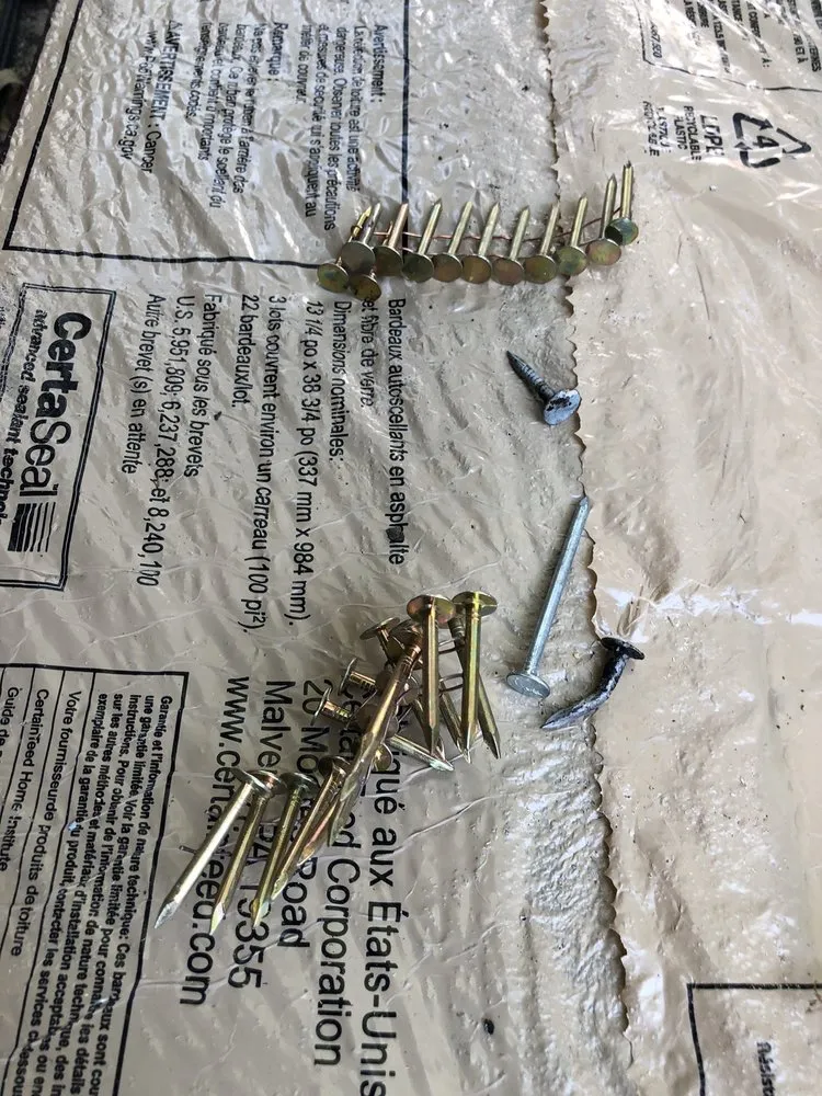 Slide of Reaction Exteriors