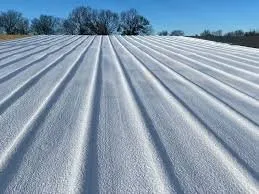 Slide of Reaction Foam