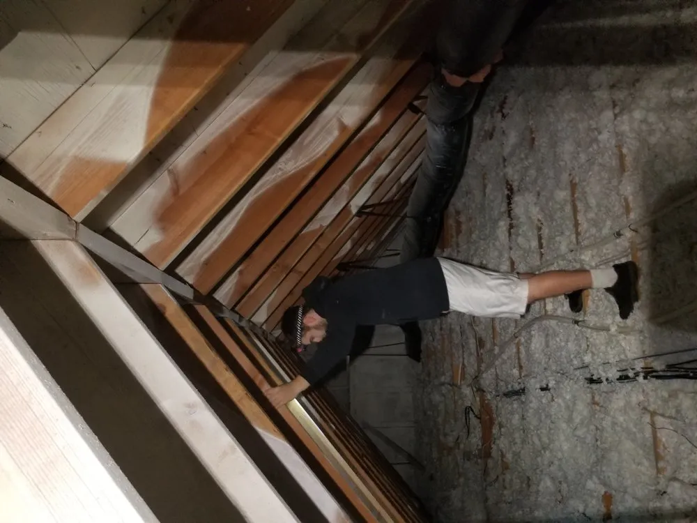 Slide of Real Estate Roofing & Mold Solutions