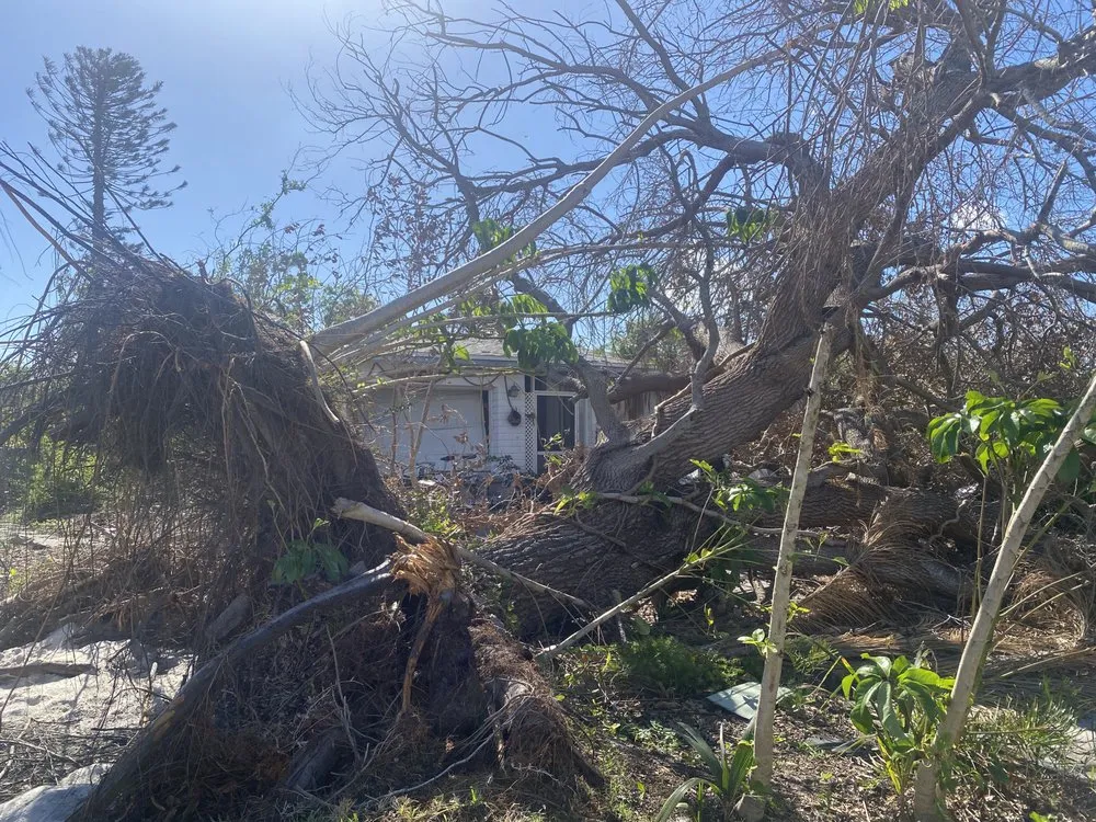 Slide of Real Momentum