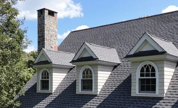 Realize Services Logo