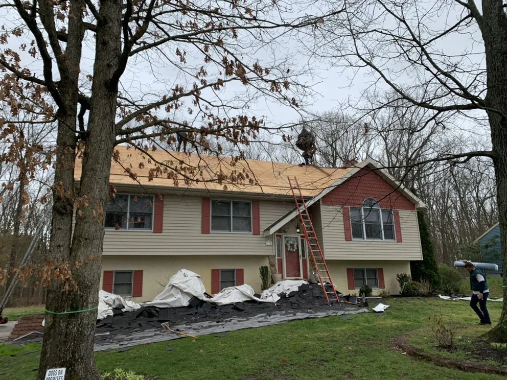 Slide of Reanimate contractors