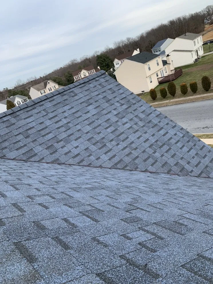 Slide of Reanimate contractors