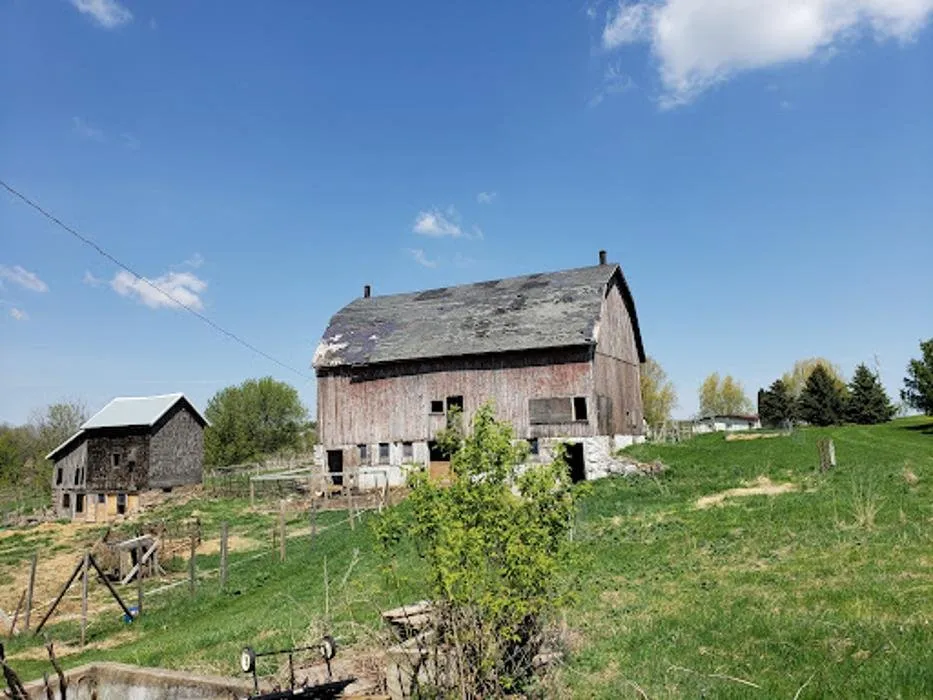 Expert roof replacement in Hager City, WI by Reasonable Contracting