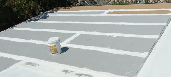 Reasonable Roof Coating  & Repair Logo