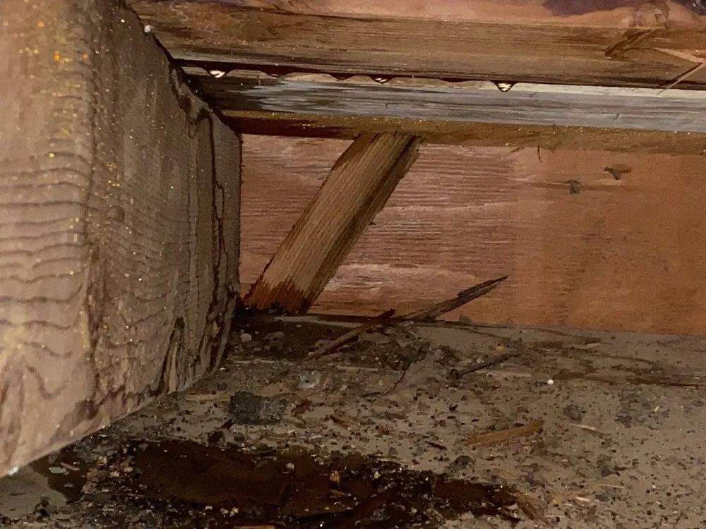 Slide of Rebel Roofing