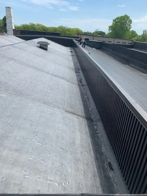 Slide of Rebels Installations