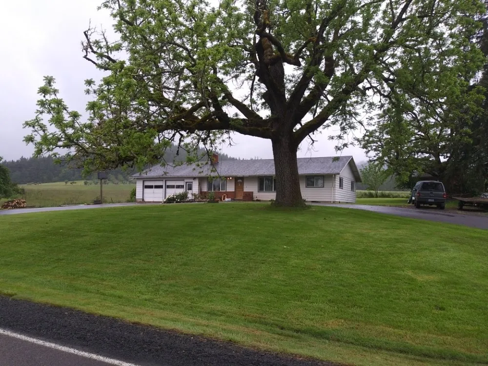 Slide of Recommendable Roofing