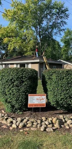 Slide of Recrafted Roofing