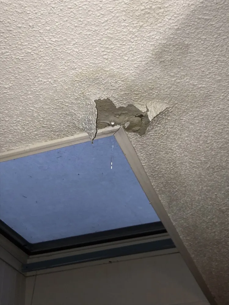 Slide of Rector Solar & Roofing