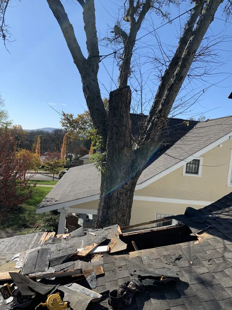 Slide of Red Beard Roofing