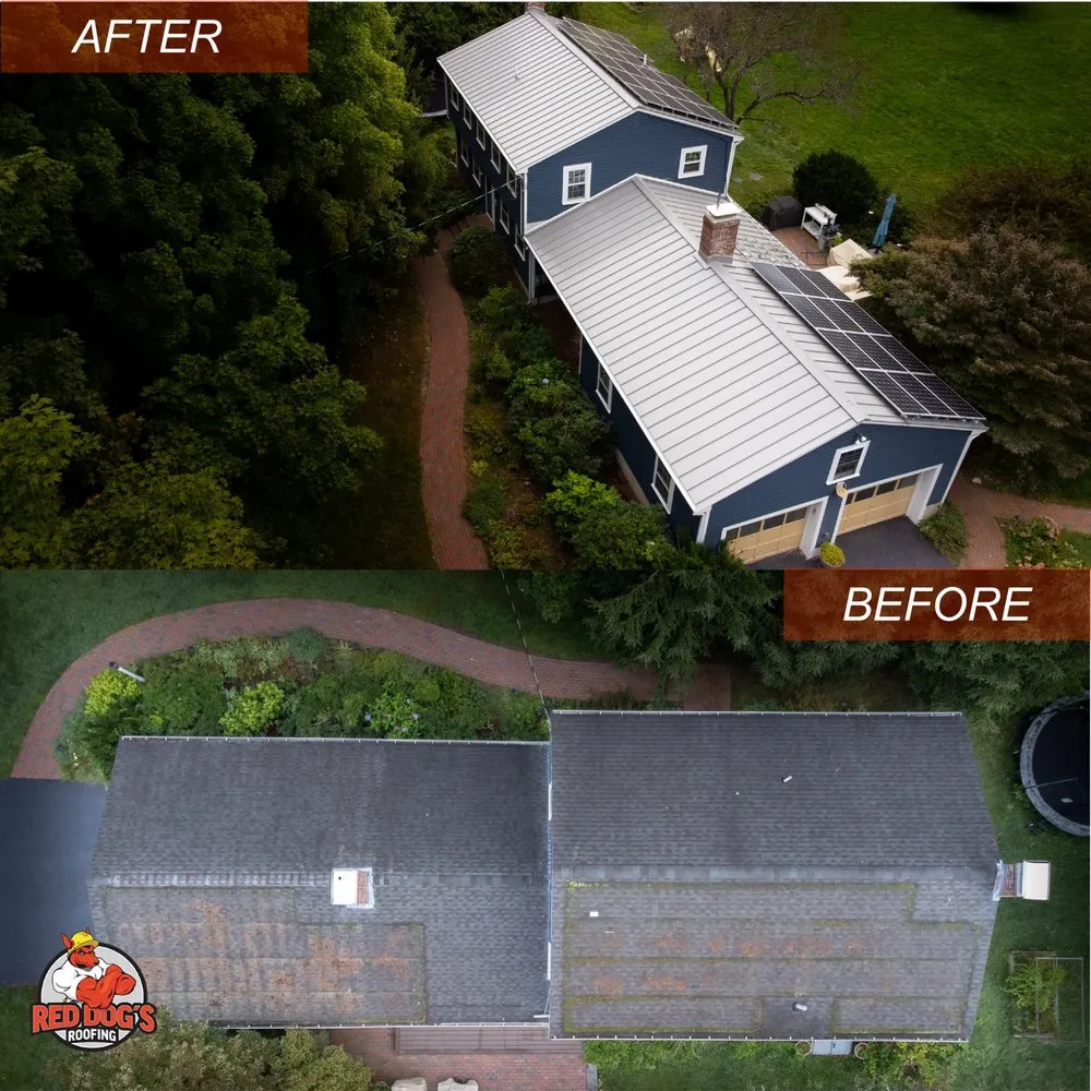 Slide of Red Dog's Roofing