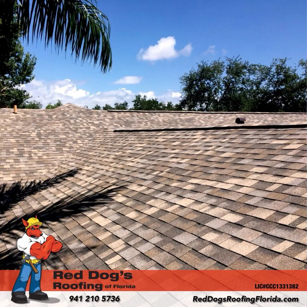 Slide of Red Dog's Roofing of Florida