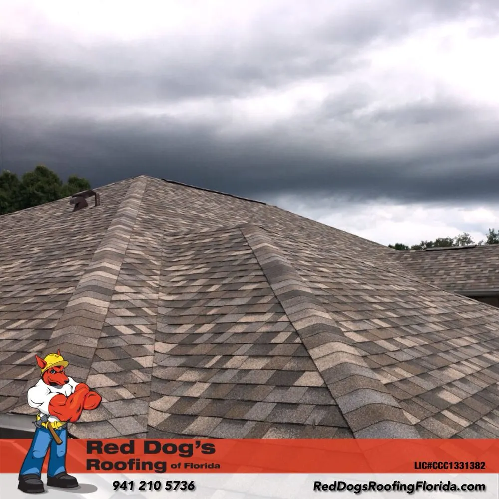 Slide of Red Dog's Roofing of Florida