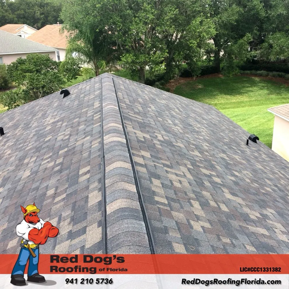 Slide of Red Dog's Roofing of Florida