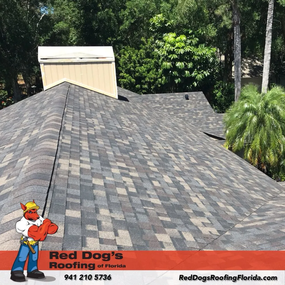 Slide of Red Dog's Roofing of Florida