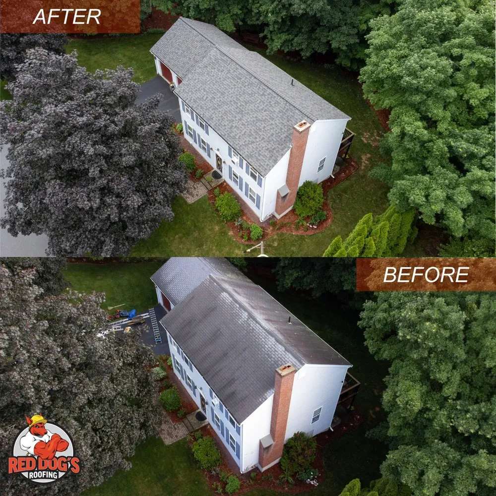 Slide of Red Dog's Roofing